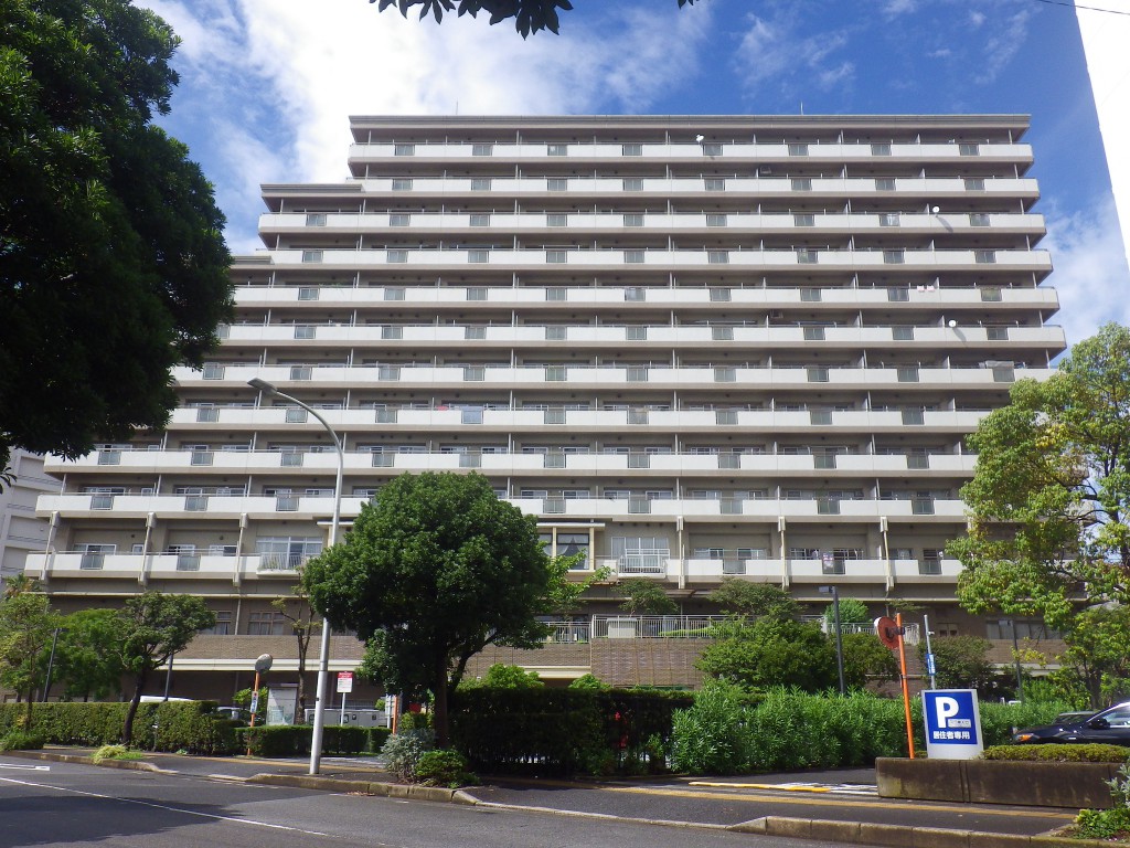 施工前(南)