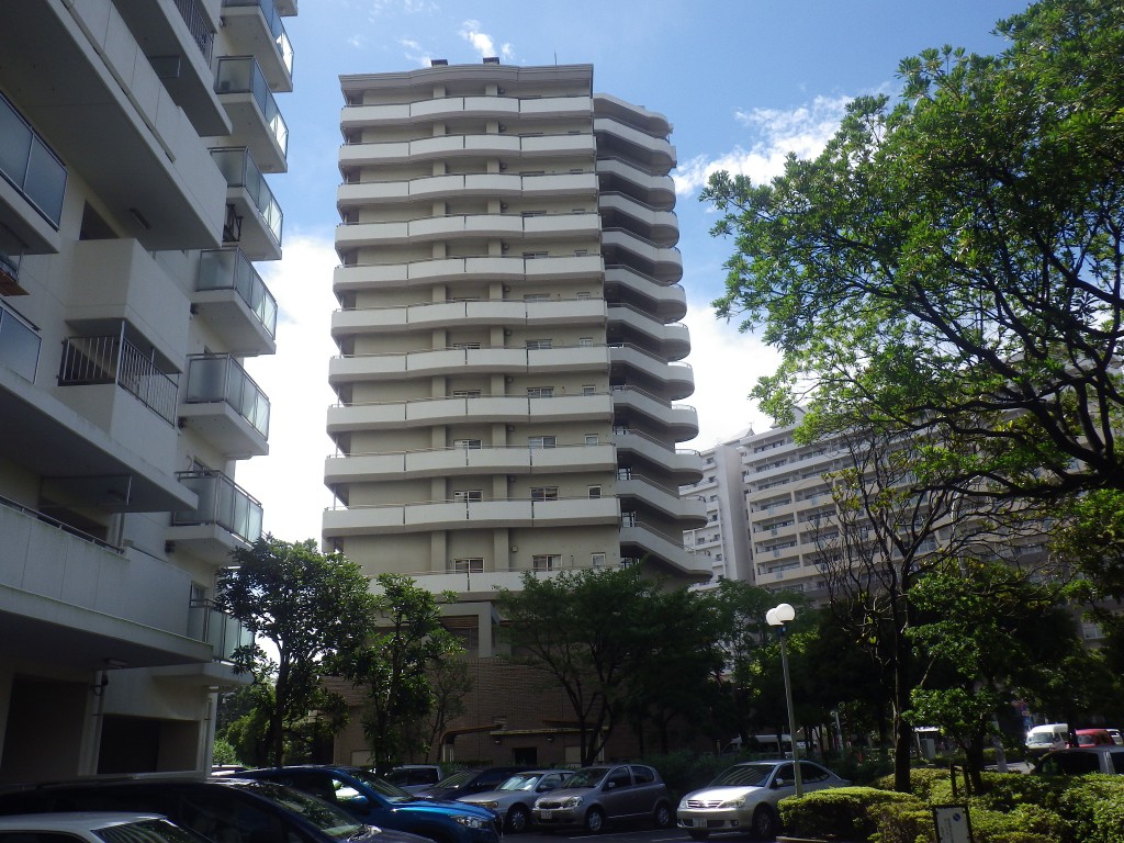 施工前(東)