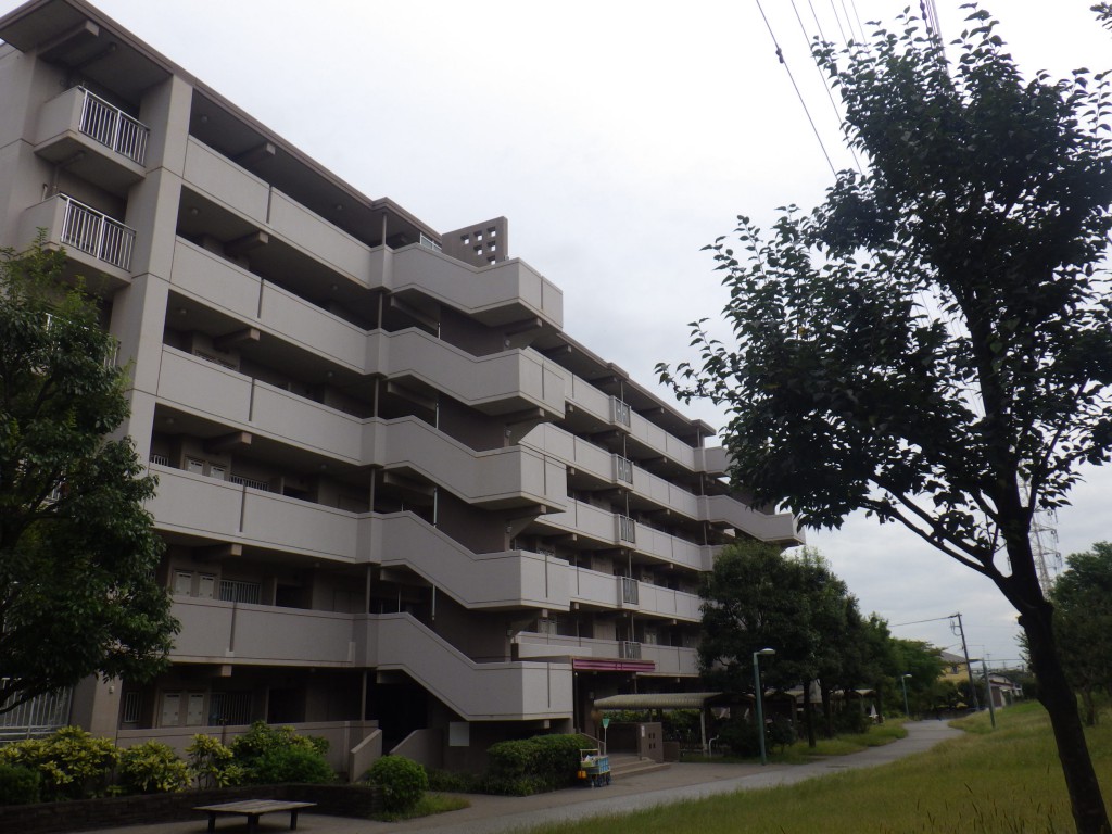 RIMG2577
