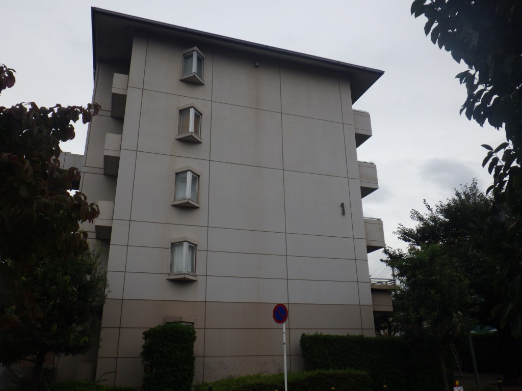 RIMG2612