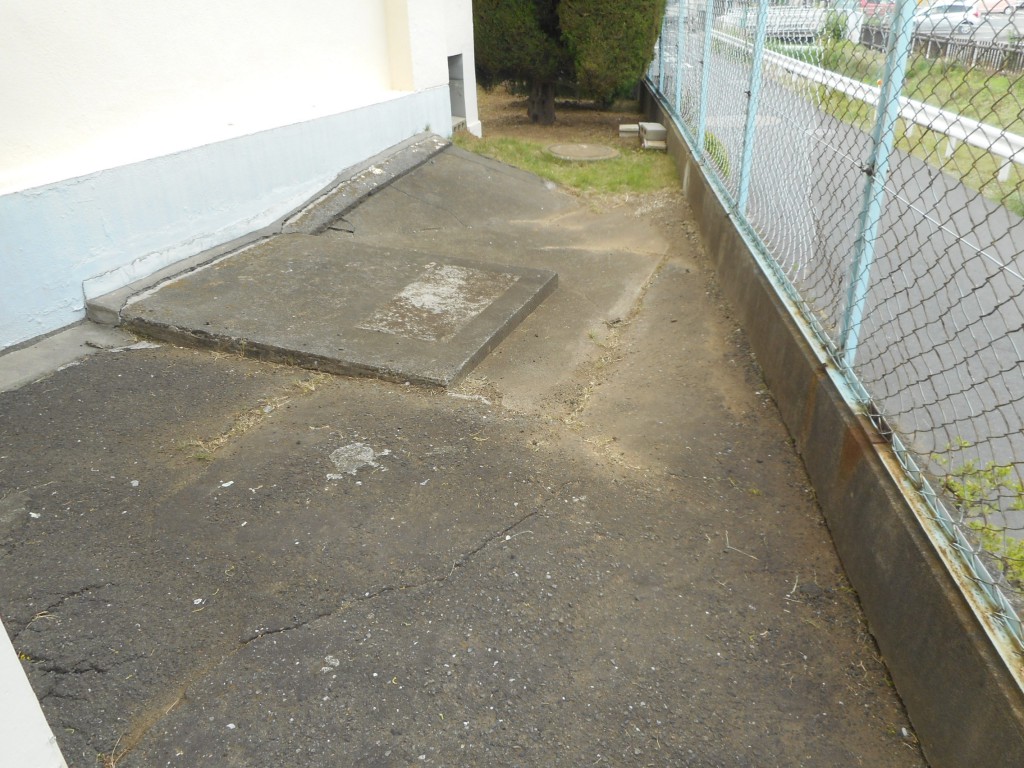 DSCN4170