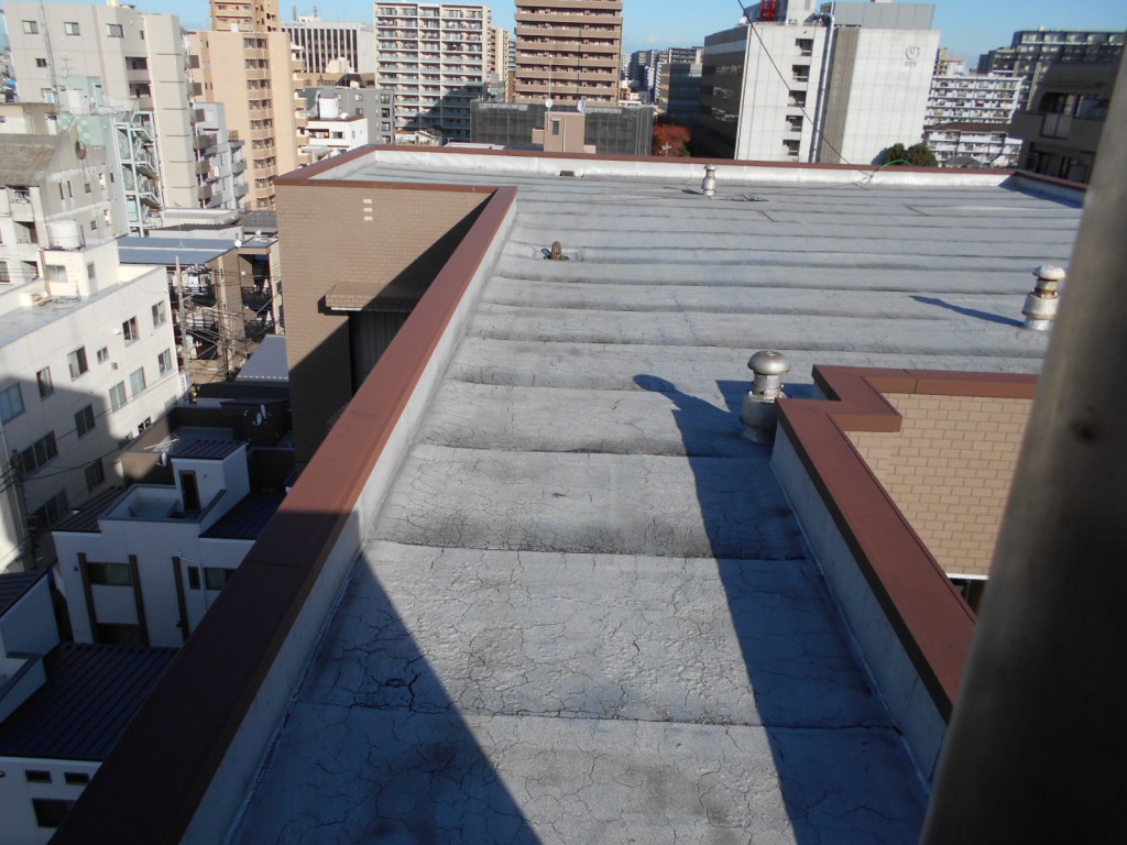 施工前屋上①